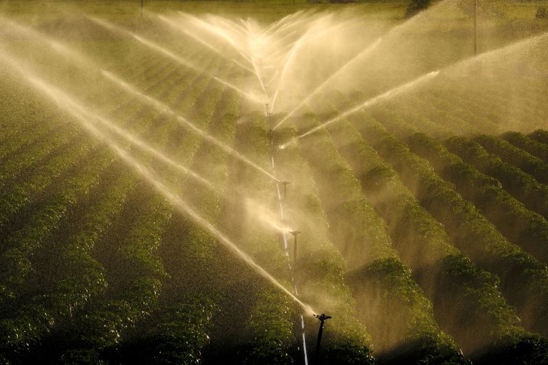 Farm Irrigation Installation in Ventura County, CA