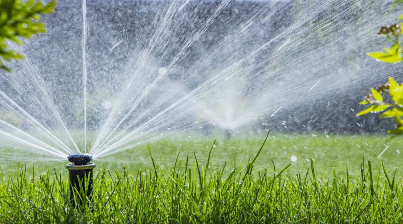 Sprinkler System Blowout Service