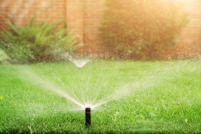Sprinkler System Blowout Service